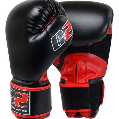 C2 Boxing Glove RED and BLACK DUAL1 1