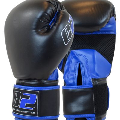 C2 Boxing Gloves BLUED