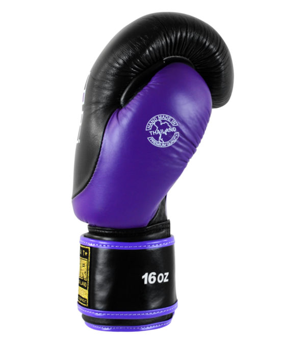 HMIT Boxing Gloves PURPLE RIGHT 600x675