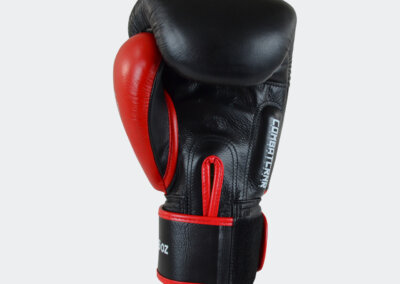 HMIT Boxing Gloves Red Palm