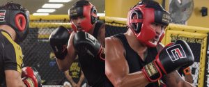 cc productcats art notext05c protection headgear  82951