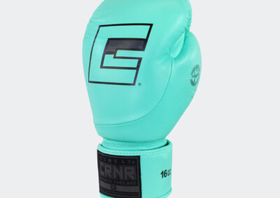 Guantes de Boxeo HMIT Menta ()