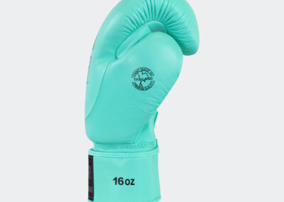 Guantes de Boxeo HMIT Menta ()