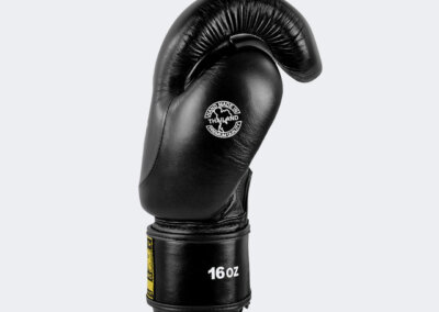 HMIT Boxing Gloves Black ANGLE